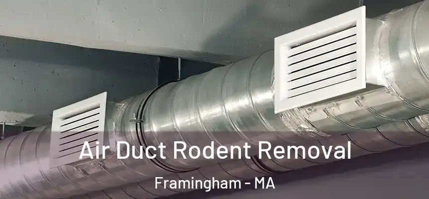 Air Duct Rodent Removal Framingham - MA
