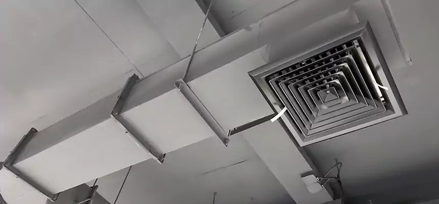 Our Pest Removal From Ducts Services in Framingham, MA