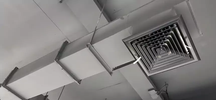 Our Rodent Droppings In Vents Services in Framingham, MA