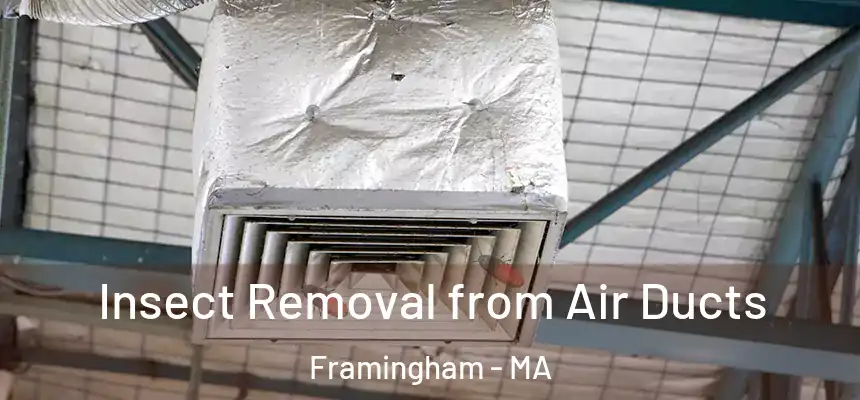 Insect Removal from Air Ducts Framingham - MA