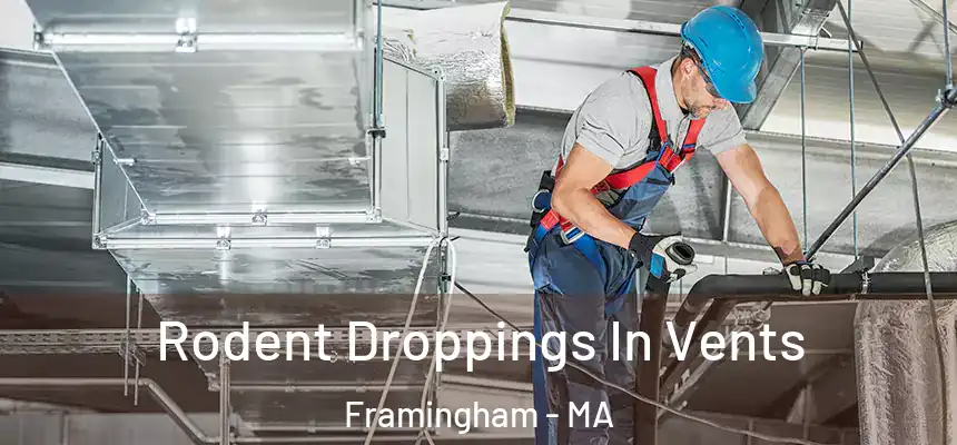  Rodent Droppings In Vents Framingham - MA