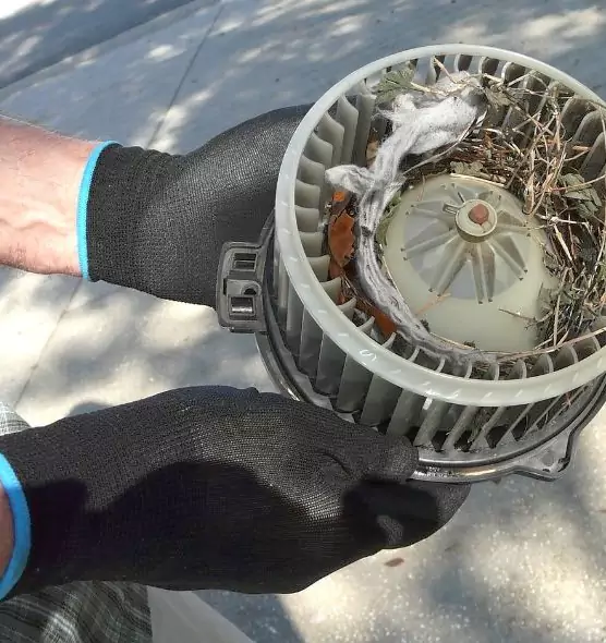 About Air Duct Mice Removal in Framingham, MA