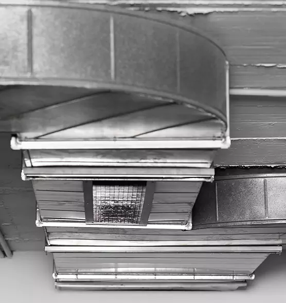 Professional Air Duct Pest Removal in Framingham, MA