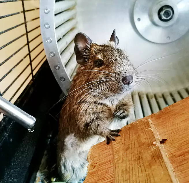 Why Homeowners & Businesses Trust Us Framingham, MA